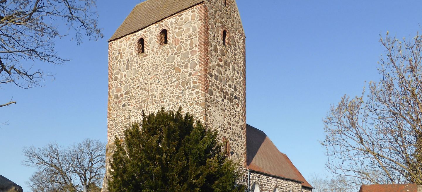 Dorfkirche in Steinfeld in der Altmark: wuchtiger Feldsteinturm mit Backsteinabschluss und kleinen Schallöffnungen, davor eine Konifere und kahle Bäume.