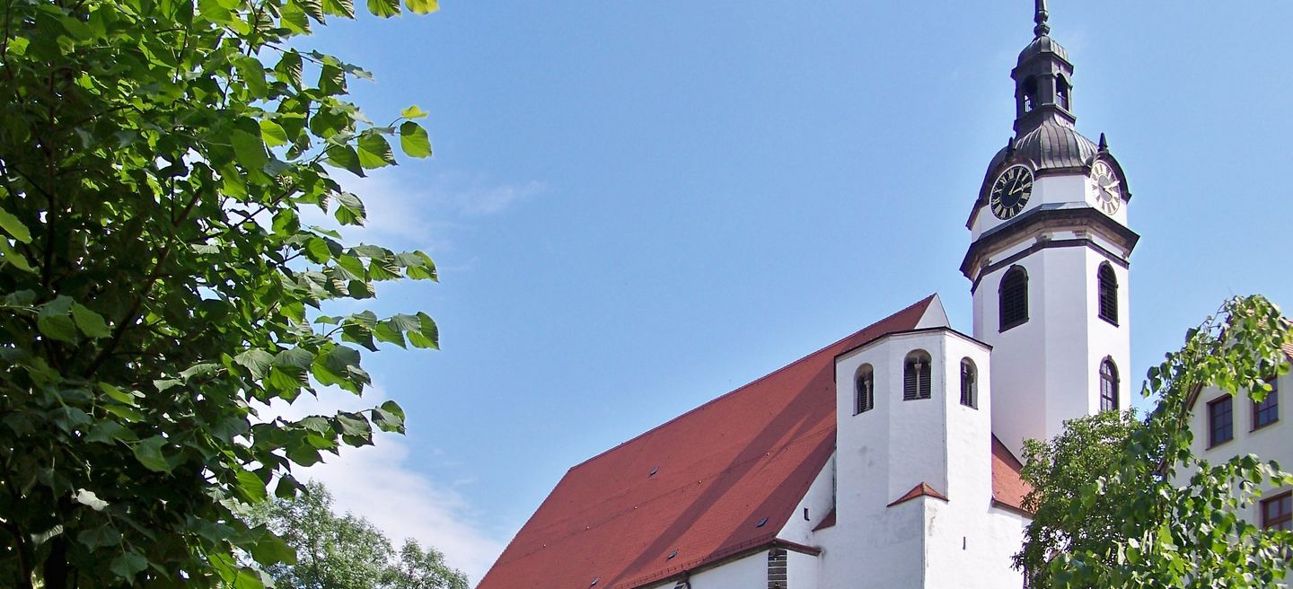 Die weiß verputzte Stadtkirche St. Marien in Torgau mit rotem Satteldach und barocker Turmhaube mit zwei Zifferblättern, gerahmt von Laubbäumen.