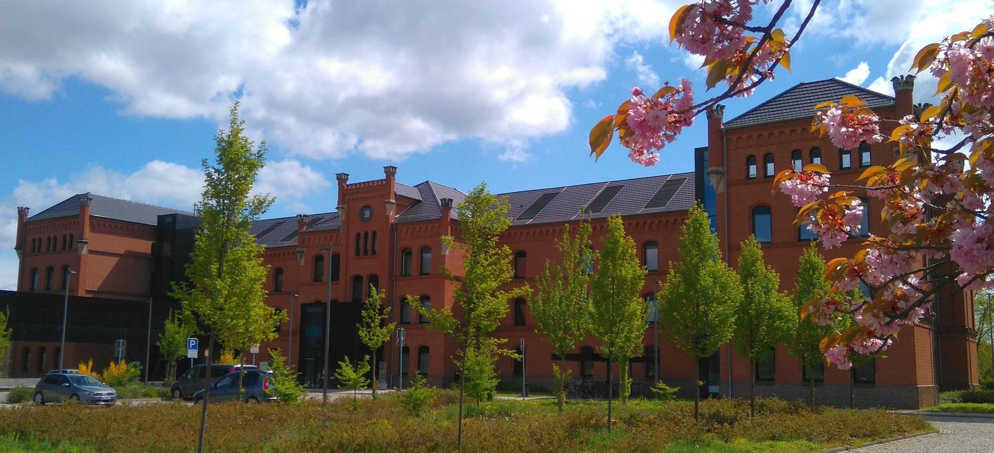 Hofseite des Landesarchivs Sachsen-Anhalt in Magdeburg, ein roter Klinkerbau mit hohen Fenstern hinter blühenden Bäumen.